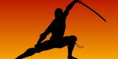 International Ninja Day